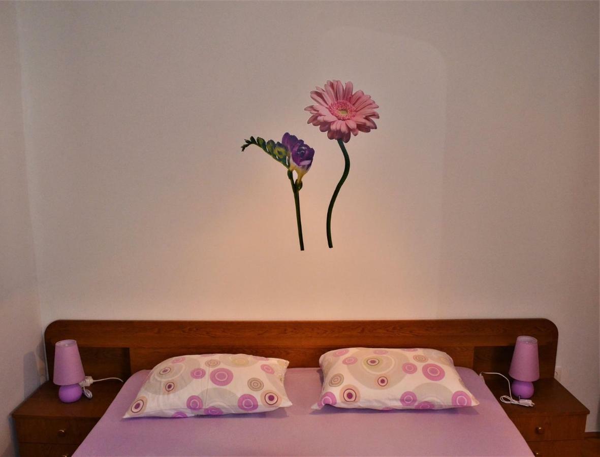 Apartman Rosa Pirovac Eksteriør bilde